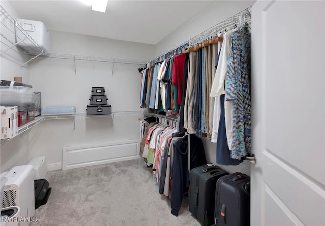 walk in closet with light carpet