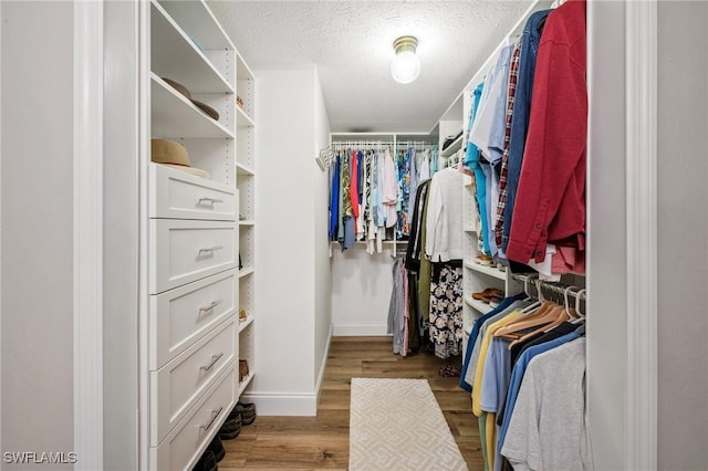 spacious closet featuring wood finished floors