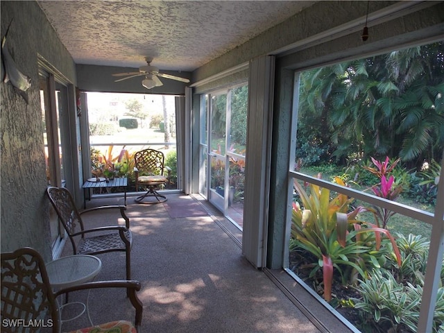 sunroom / solarium featuring ceiling fan