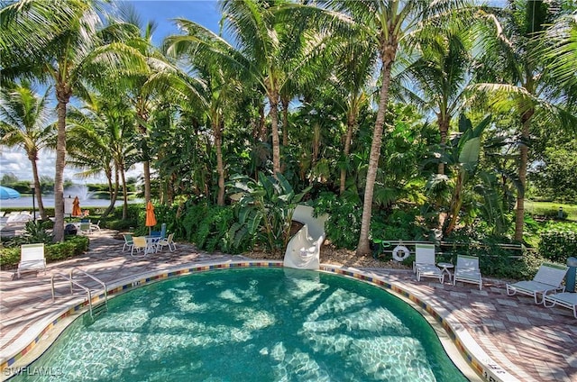 view of pool with a patio