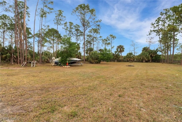 view of yard