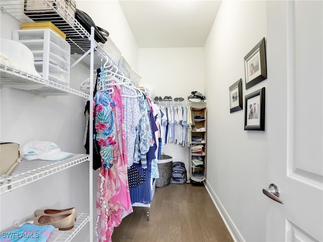 spacious closet with wood finished floors