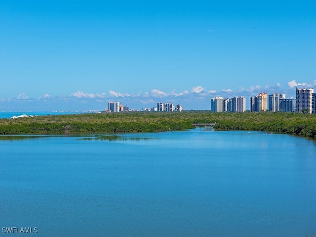 property view of water with a view of city