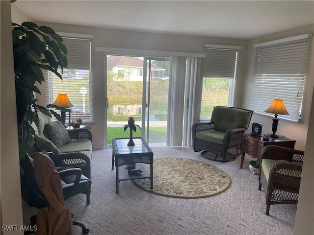 view of carpeted living area