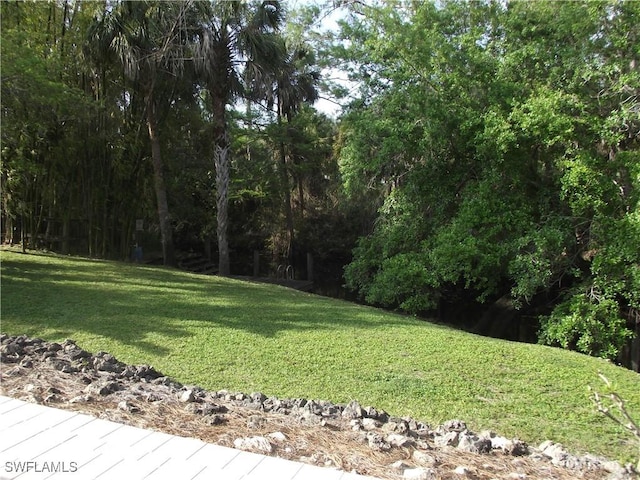 view of yard with a forest view