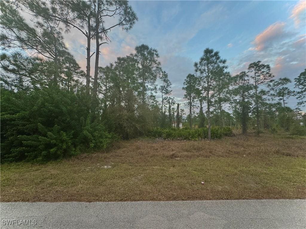 937 Alcalde St E, Lehigh Acres, FL 33974