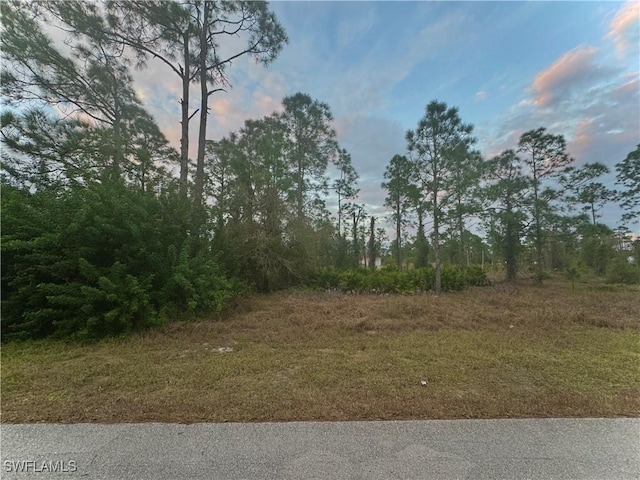 937 Alcalde St E, Lehigh Acres FL, 33974 land for sale