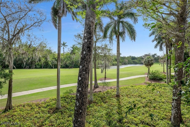 view of community featuring a lawn and a water view