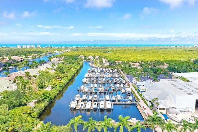 bird's eye view with a water view