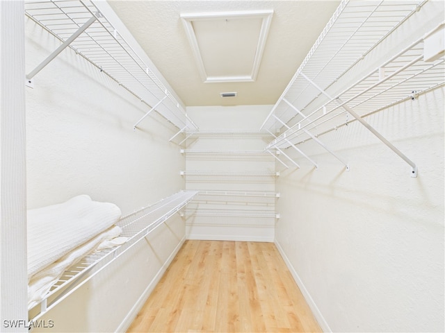 walk in closet with wood finished floors and visible vents