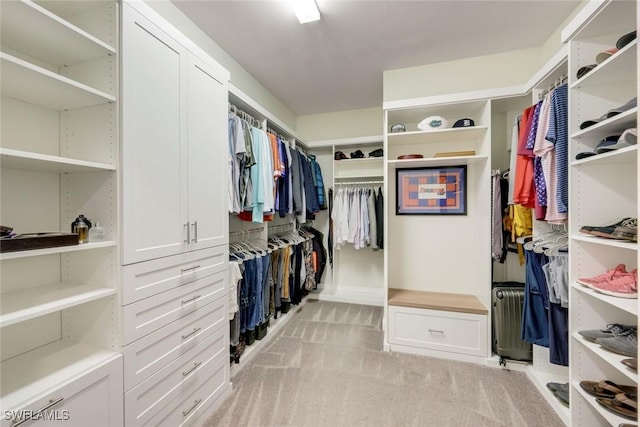 walk in closet featuring light carpet and radiator