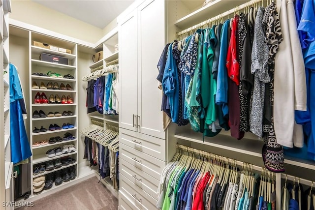 walk in closet with carpet flooring