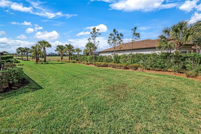 9151 Snowy Owl Way, Naples, FL 34120 - view of yard
