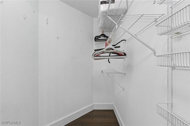 spacious closet with dark wood finished floors