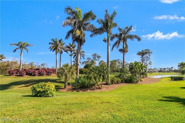 view of home's community featuring a yard