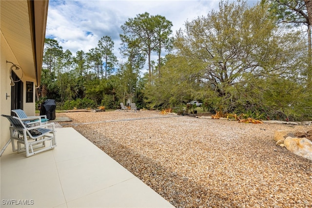 view of yard featuring a patio area