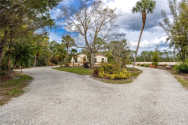 view of road with gravel driveway