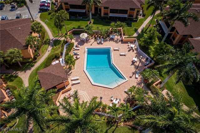 view of pool featuring a patio area