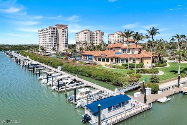 drone / aerial view with a city view and a water view