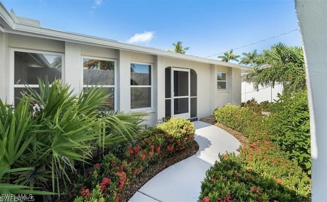 entrance to property featuring stucco siding