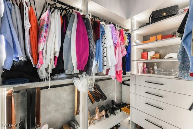 view of walk in closet