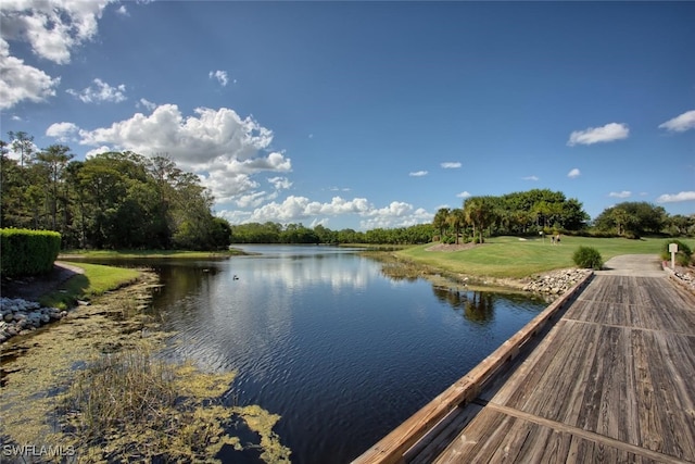 8106 Queen Palm Ln Unit 115, Fort Myers, FL 33966 - water view