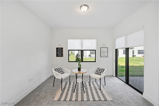 living area with baseboards, carpet, and a healthy amount of sunlight