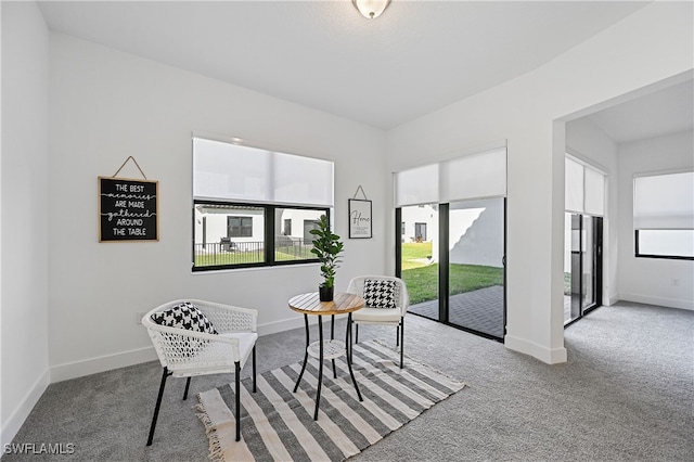 interior space featuring baseboards and carpet