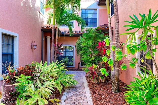 doorway to property with stucco siding and a tiled roof