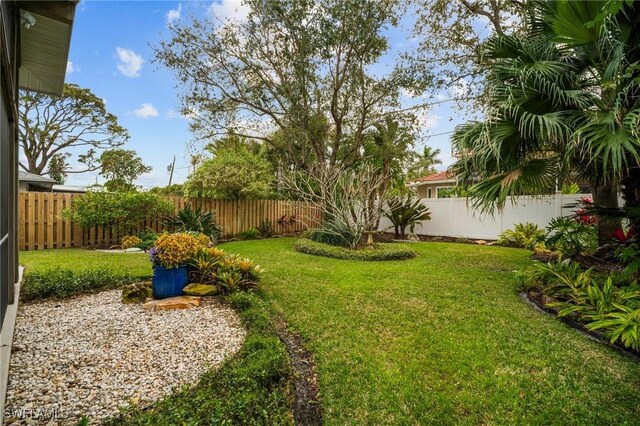 view of yard with a fenced backyard