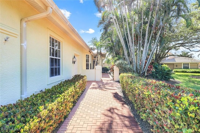 view of property exterior featuring a gate and stucco siding