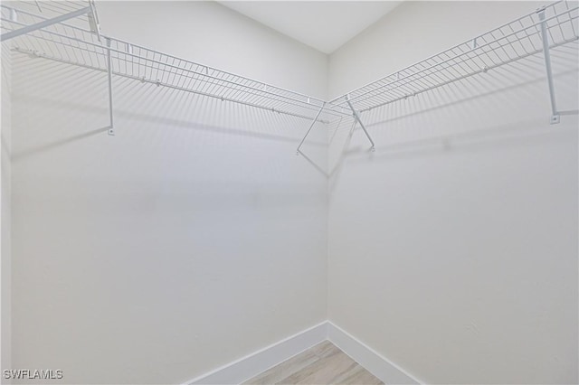 walk in closet featuring light wood-style flooring