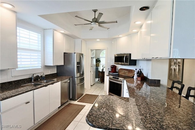 kitchen with a raised ceiling, a ceiling fan, stainless steel appliances, white cabinetry, and a sink