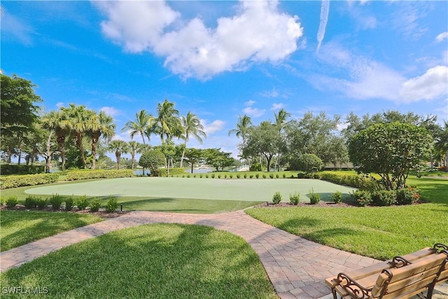 view of property's community with a lawn