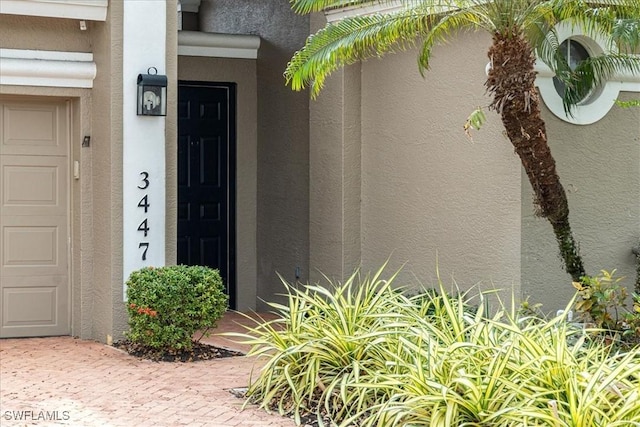 doorway to property featuring stucco siding