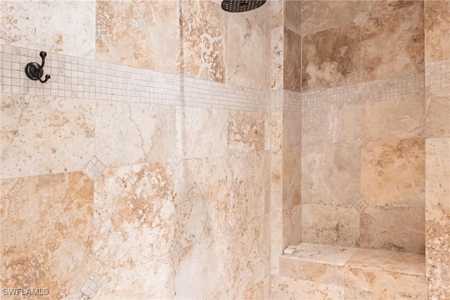 room details with tiled shower