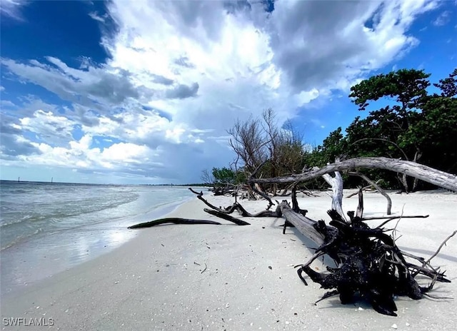 property view of water featuring a beach view