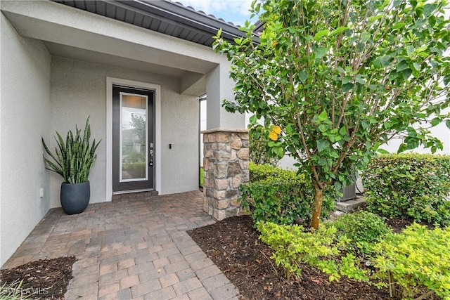 entrance to property with stone siding, a patio, and stucco siding