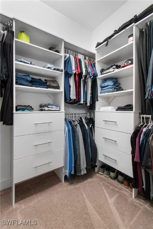 spacious closet with carpet