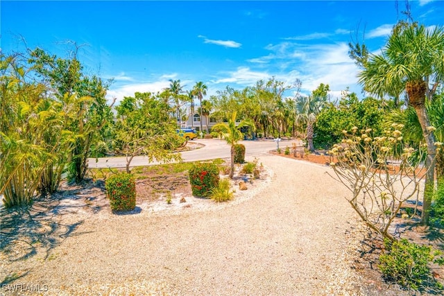 view of property's community featuring driveway