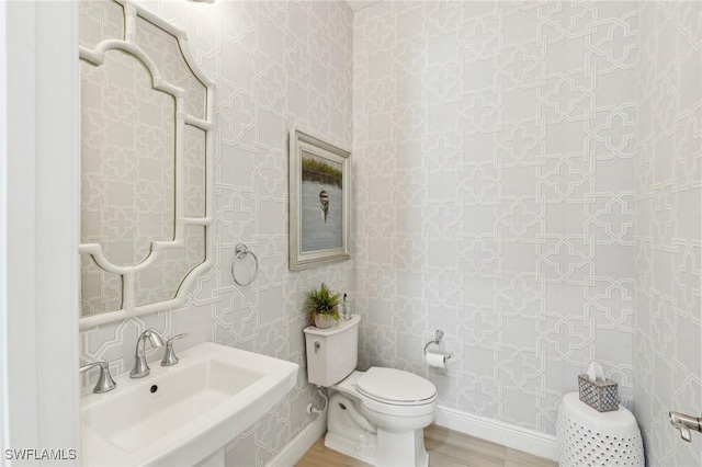 bathroom featuring a sink, toilet, and wood finished floors