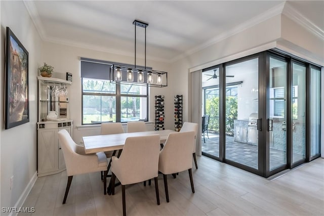 dining space featuring light wood-style floors, a wealth of natural light, crown molding, and baseboards