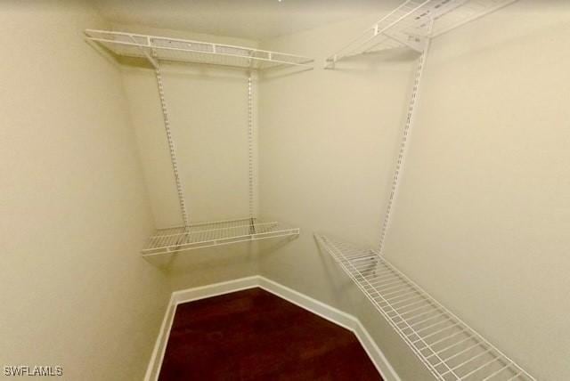 view of walk in closet