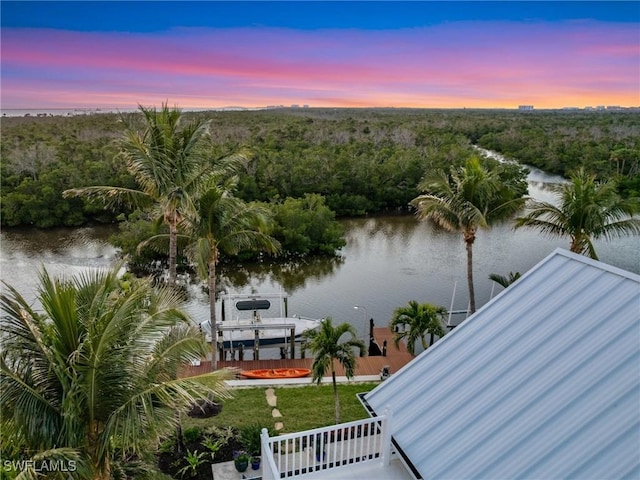 water view featuring a dock and a wooded view