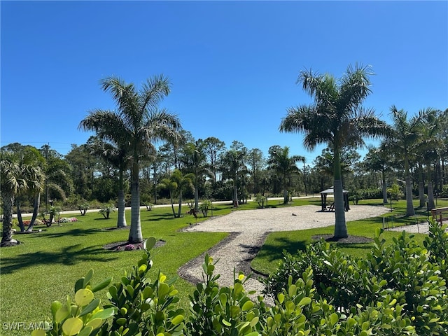 view of home's community with a yard