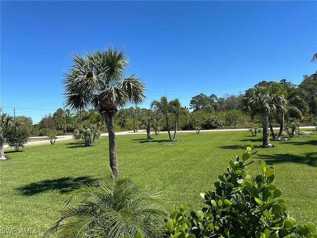 view of property's community featuring a yard