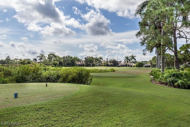 view of community with a yard