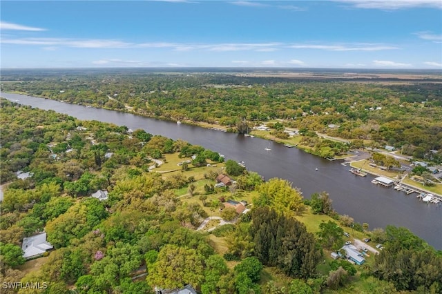 drone / aerial view with a wooded view and a water view