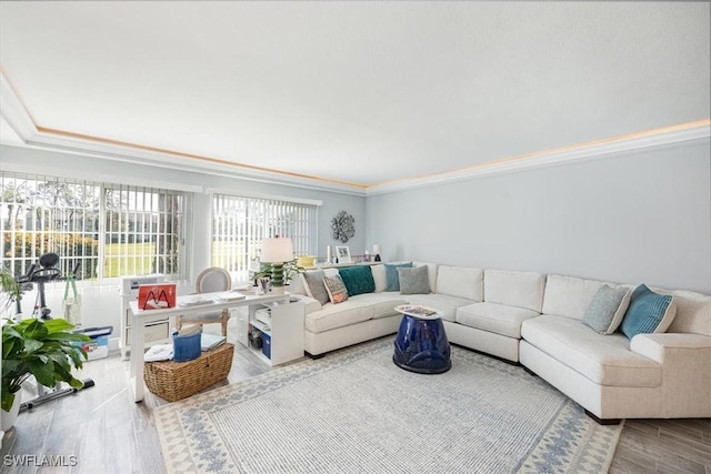 living room featuring wood finished floors and crown molding