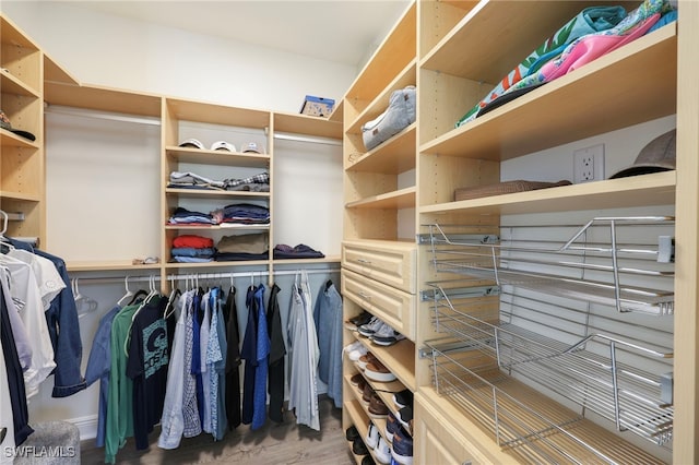 spacious closet with wood finished floors